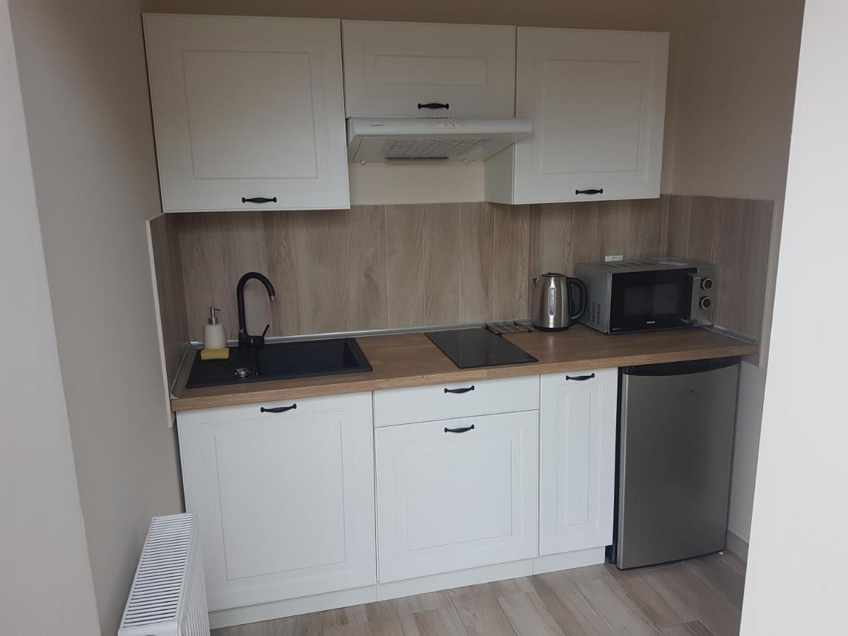 Apartament Dworek pod Lwami Lewin Brzeski Zewnętrze zdjęcie